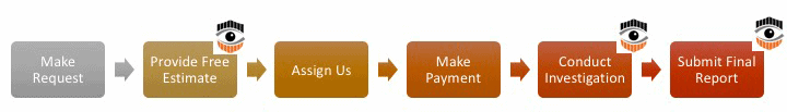 Japan PI Registration Process