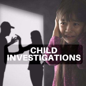 Private Investigation