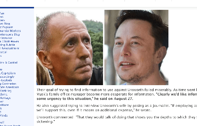 musk.vs,unthworth.zerohedge